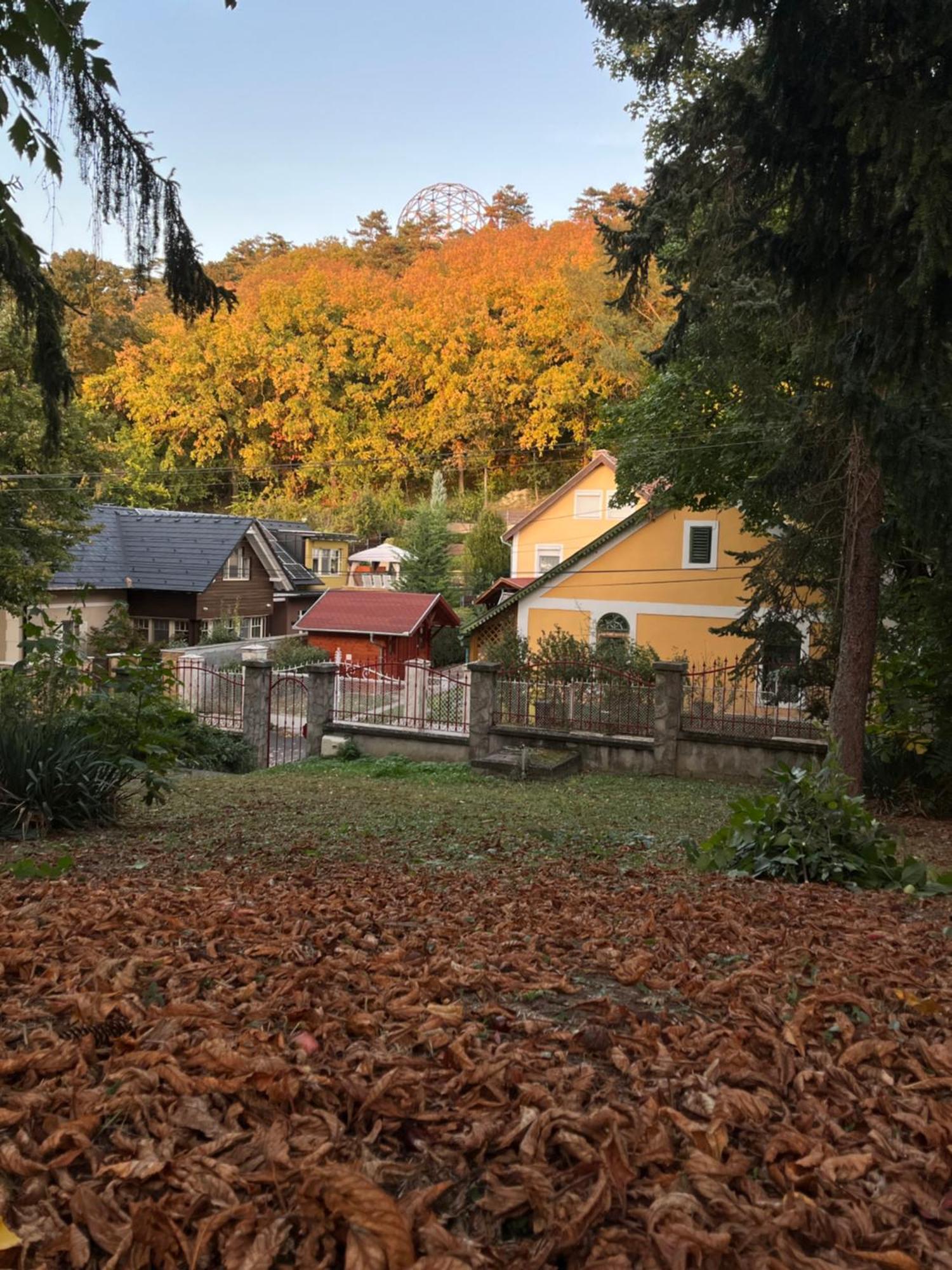 Klára Villa Balatonboglár Kültér fotó